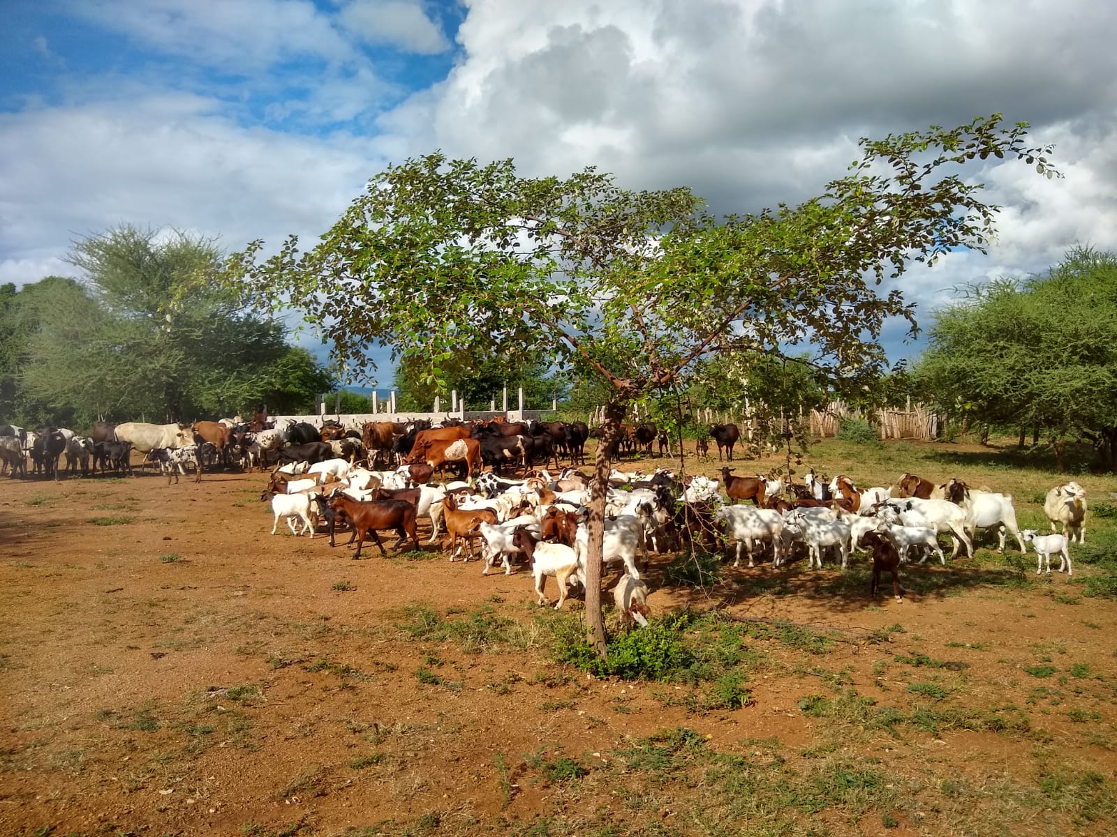 1bIMG 20220501 WA0029